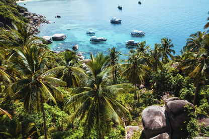 Plam Trees & Boat On Sea View Photograph Print 100% Australian Made