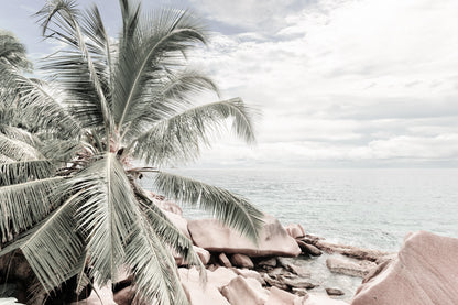 Palm Trees & Rocks near Sea View Photograph Home Decor Premium Quality Poster Print Choose Your Sizes