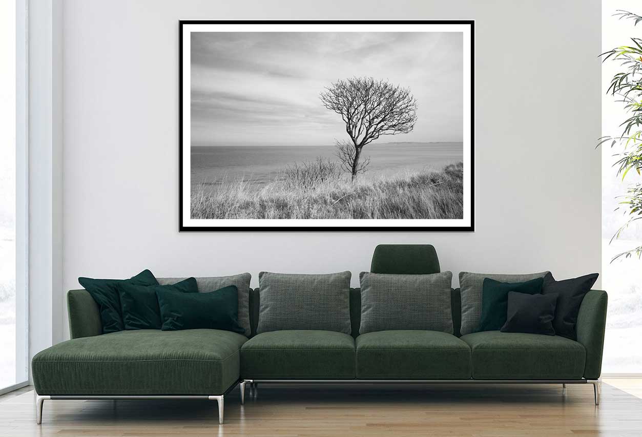 Dead Tree on Grass Field Sea B&W View Photograph Home Decor Premium Quality Poster Print Choose Your Sizes