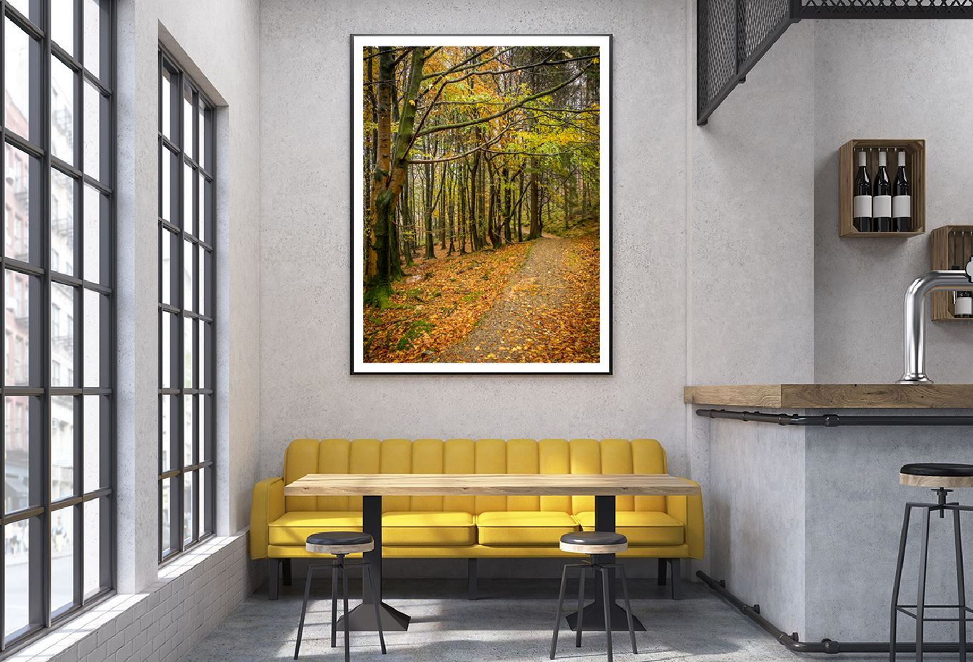 Fall Leaves with Pathway View Photograph Home Decor Premium Quality Poster Print Choose Your Sizes