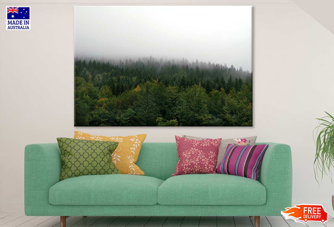 Misty Forest Sky View Photograph Print 100% Australian Made