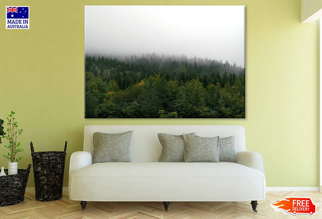 Misty Forest Sky View Photograph Print 100% Australian Made