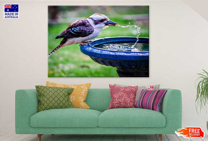 Kookaburra Drinking Water View Photograph Print 100% Australian Made