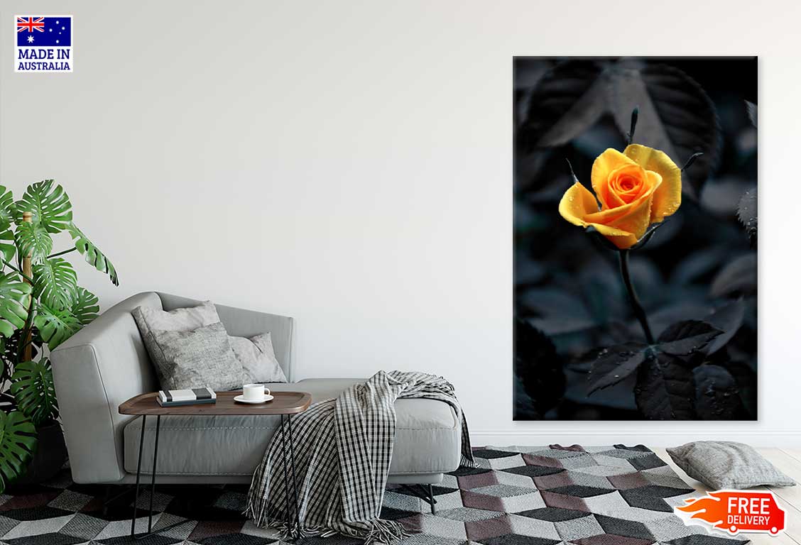 Yellow Orange Rose View on Dark Photograph Print 100% Australian Made