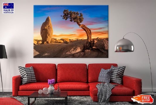 Desert with Boulder Rock & Tree Photograph Print 100% Australian Made