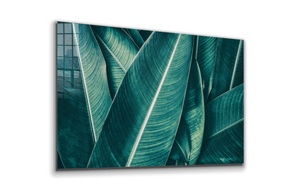 Tropical Green Leaves Print Tempered Glass Wall Art 100% Made in Australia Ready to Hang