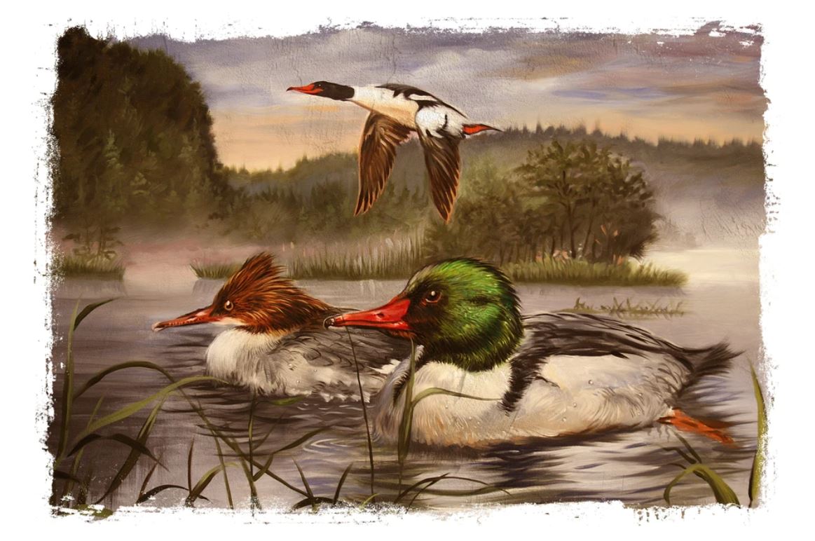 Ducks & Bird on River Watercolor Painting Home Decor Premium Quality Poster Print Choose Your Sizes