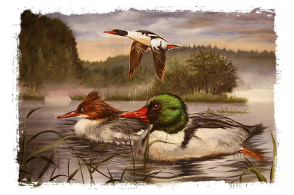 Ducks & Bird on River Watercolor Painting Home Decor Premium Quality Poster Print Choose Your Sizes