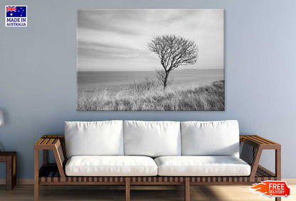 Dead Tree on Grass Field Sea B&W View Photograph Print 100% Australian Made