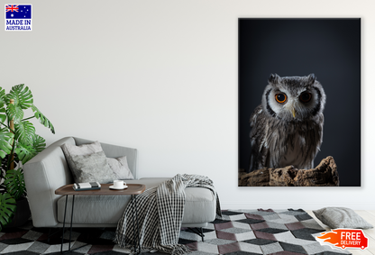 Owl Photograph Print 100% Australian Made