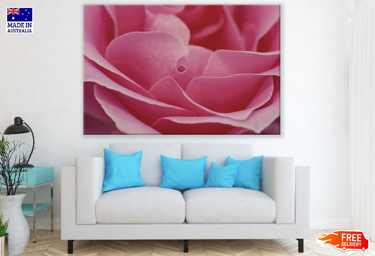 Pink Rose Flower Petals Closeup Photograph Print 100% Australian Made