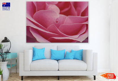 Pink Rose Flower Petals Closeup Photograph Print 100% Australian Made