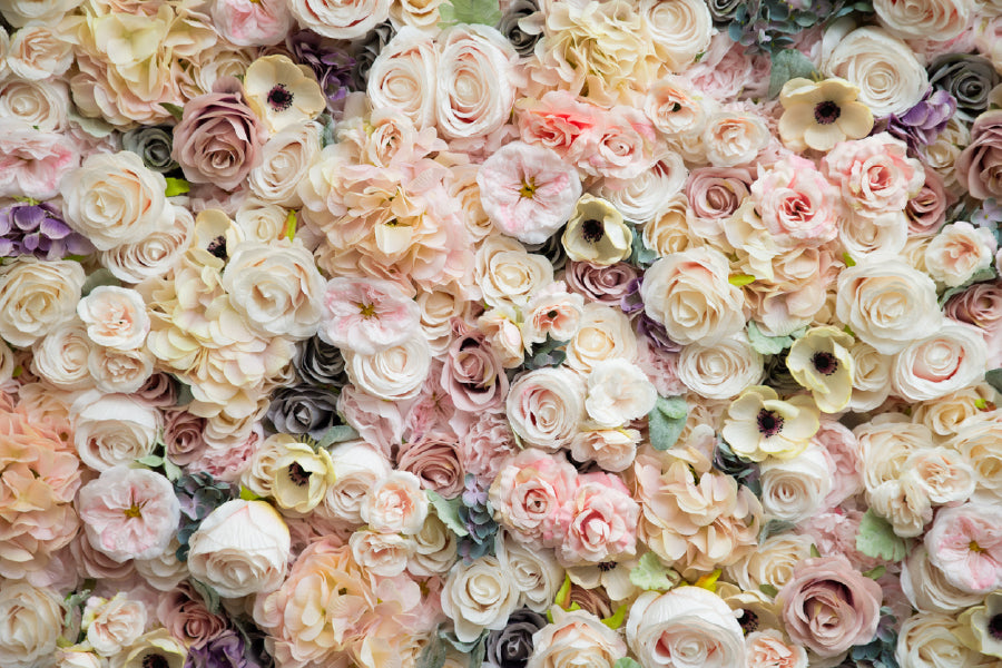 White Pink Roses Flower Wall View Photograph Print 100% Australian Made