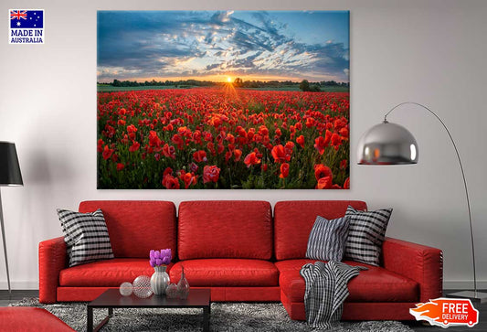 Red Poppy Field Sunset Photograph Print 100% Australian Made