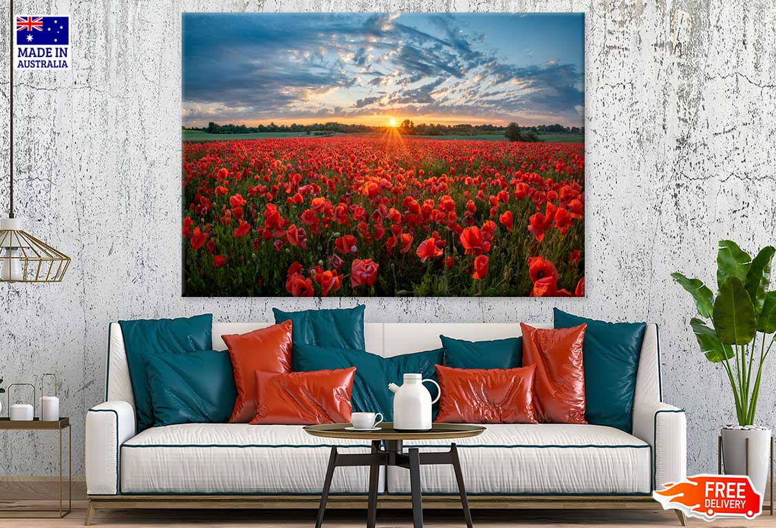 Red Poppy Field Sunset Photograph Print 100% Australian Made