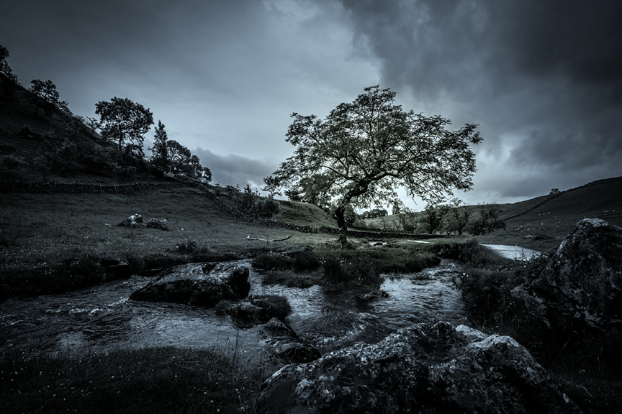 Trees on Mountain wit Dark Clouds Photograph Print 100% Australian Made