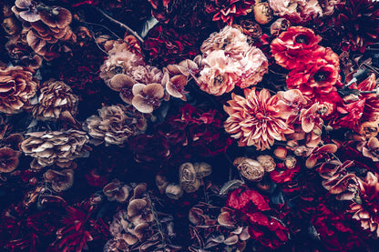 Pink & Red Flowers Photograph Print 100% Australian Made