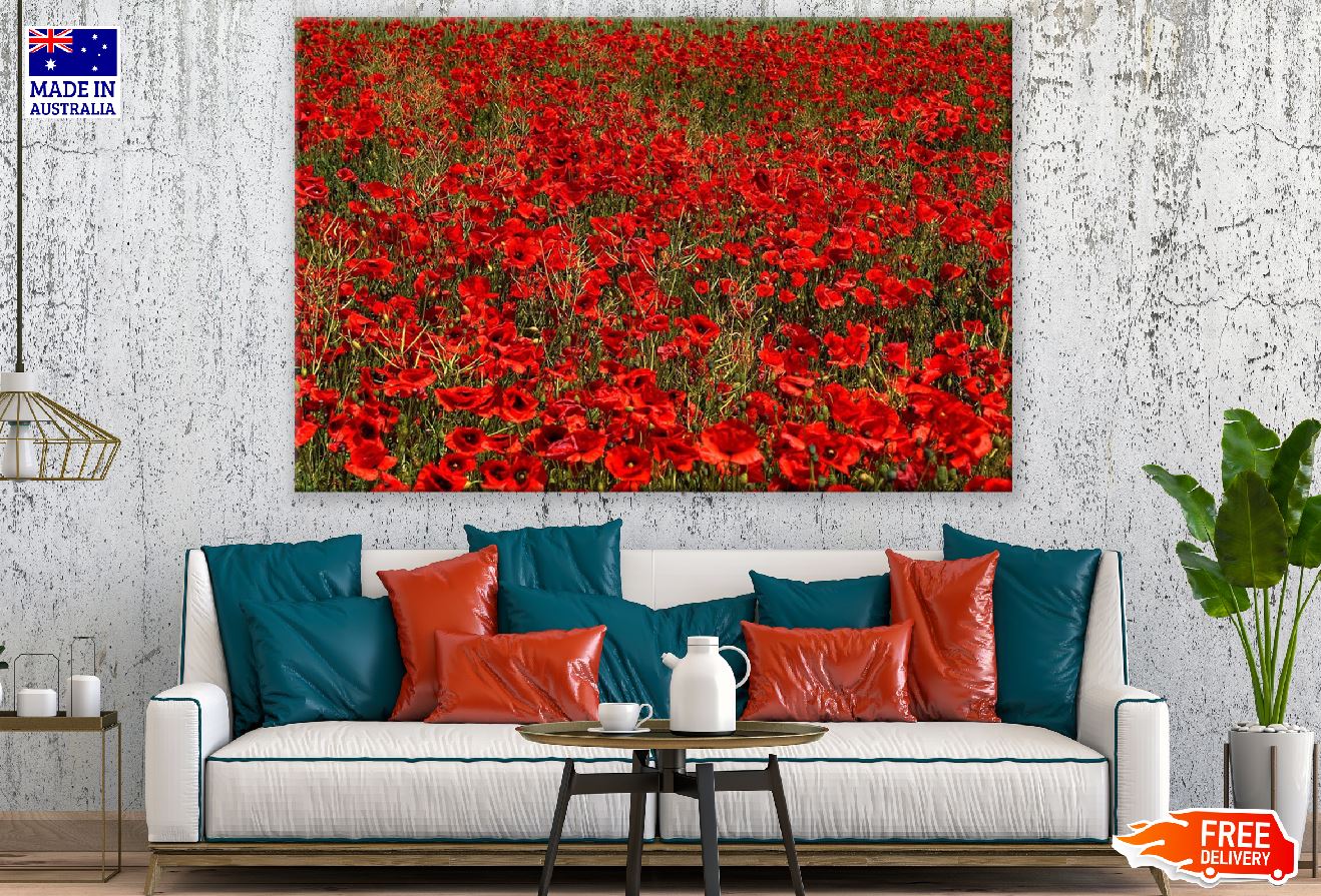 Poppies Fields in Germany Photograph Print 100% Australian Made