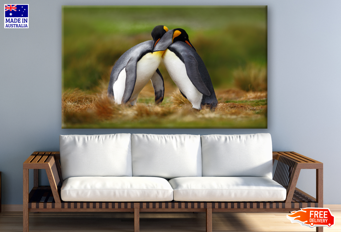 Penguin Love Photograph Print 100% Australian Made