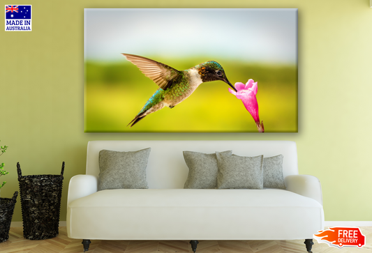 Humming BIrd Drinking Nectar From Flower Print 100% Australian Made