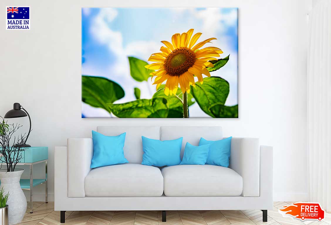 Sunflower with Plant Under Sky Photograph Print 100% Australian Made