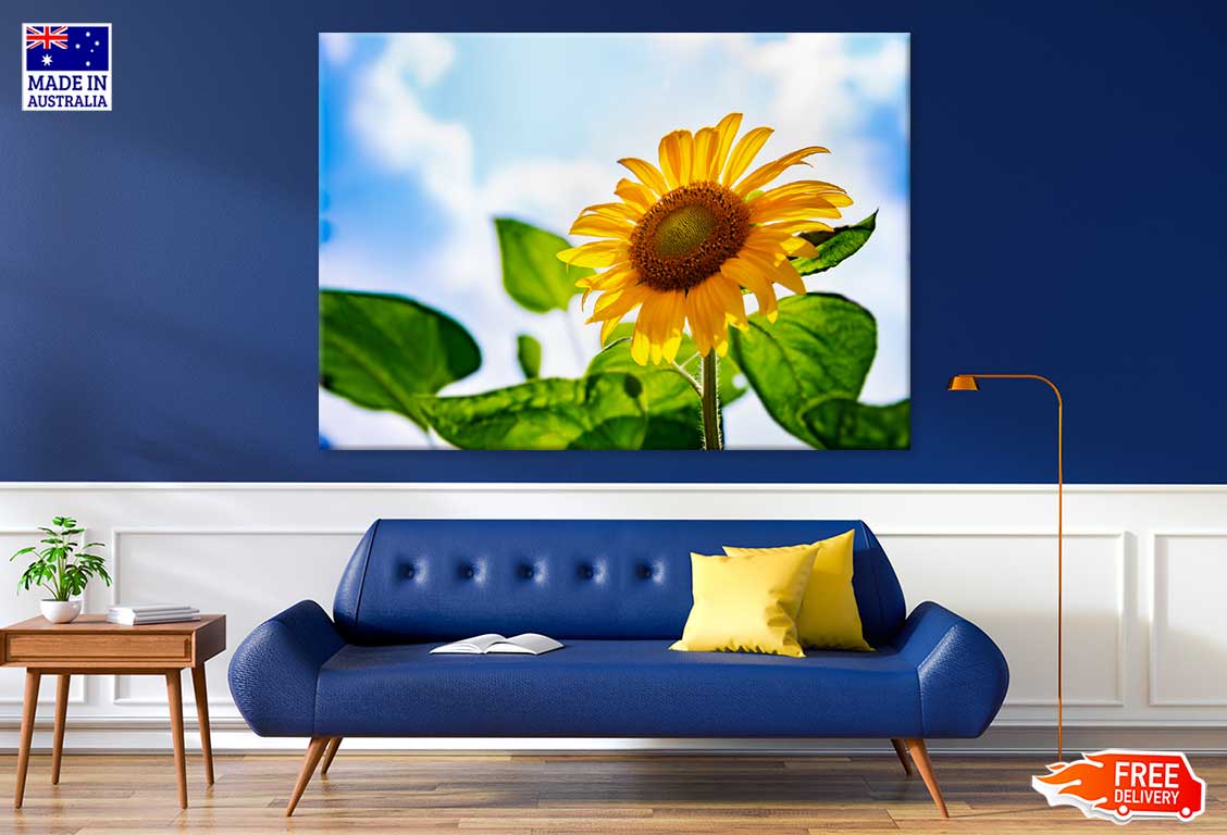 Sunflower with Plant Under Sky Photograph Print 100% Australian Made
