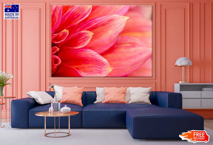 Pink Flower Petals Photograph Print 100% Australian Made