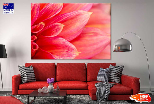 Pink Flower Petals Photograph Print 100% Australian Made