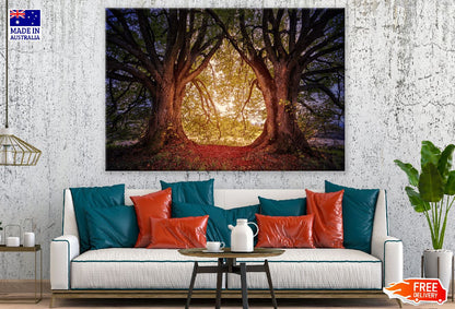 Trees on Sunset Photograph Print 100% Australian Made