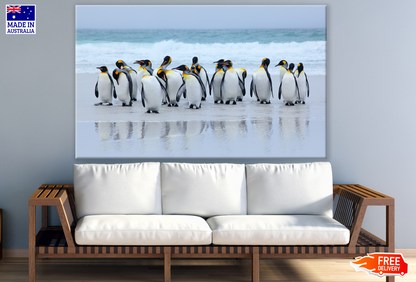 Penguins Coming out from the Sea Photograph Print 100% Australian Made