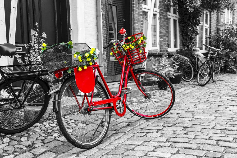 Red Bicycle & B&W Photograph Print 100% Australian Made