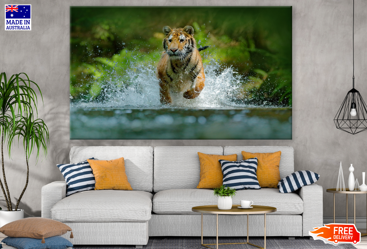 Tiger Running in Water Photograph Print 100% Australian Made