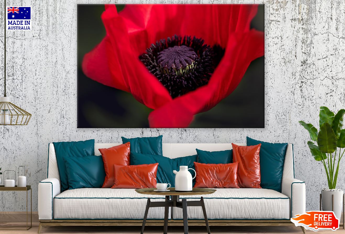 Orange Poppy Flower Closeup Photograph Print 100% Australian Made