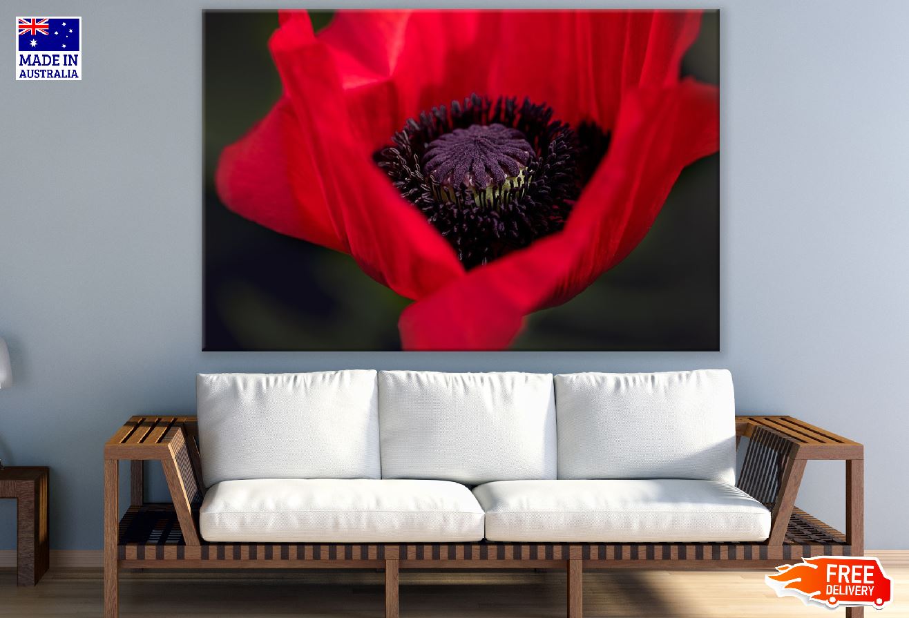 Orange Poppy Flower Closeup Photograph Print 100% Australian Made