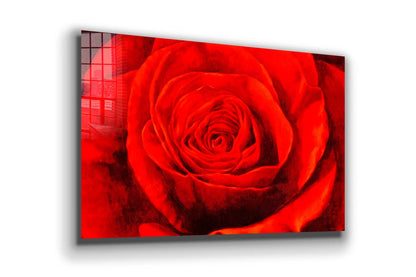 Red Rose Closeup View Print Tempered Glass Wall Art 100% Made in Australia Ready to Hang