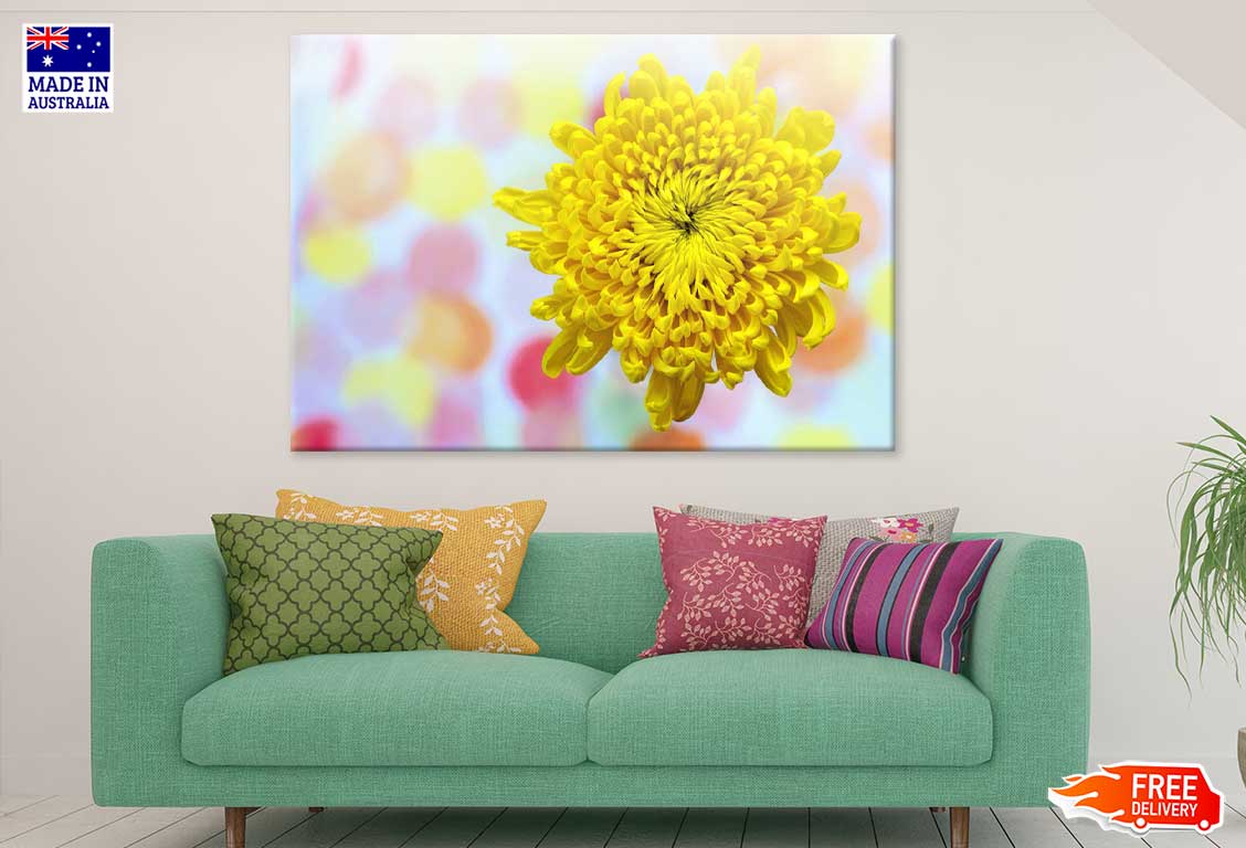 Yellow Chrysanthemum Closeup View Photograph Print 100% Australian Made