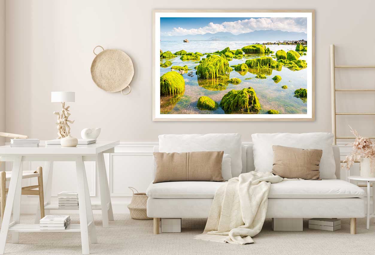 Green Beach Moss View Photograph Vietnam Home Decor Premium Quality Poster Print Choose Your Sizes