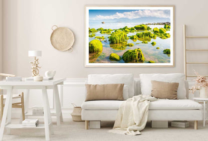 Green Beach Moss View Photograph Vietnam Home Decor Premium Quality Poster Print Choose Your Sizes