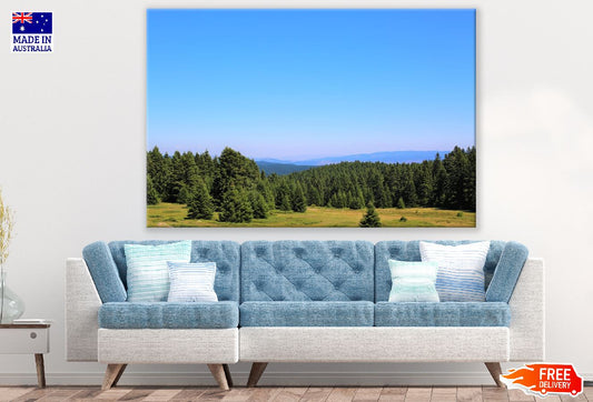 Hill Station Trees Under Blue Sky Photograph Print 100% Australian Made