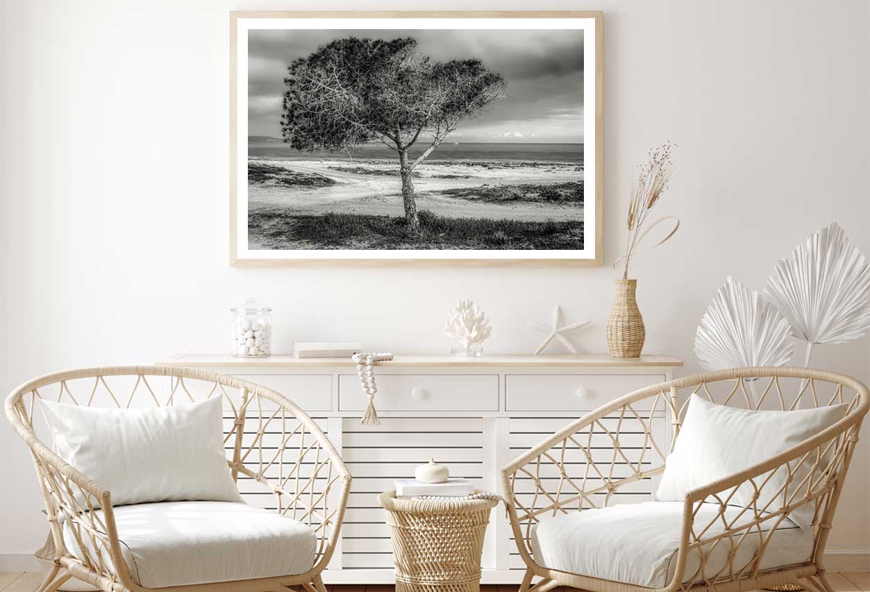 Alone Tree near Seashore B&W View Photograph Home Decor Premium Quality Poster Print Choose Your Sizes