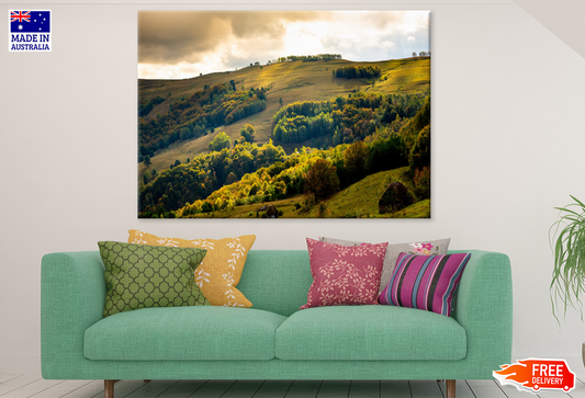 Nature Plant & Forest Mountain View Print 100% Australian Made