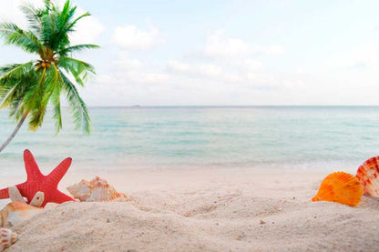 Bella Home Palm Tree Sea Shells Sand Beach Print Canvas Ready to hang