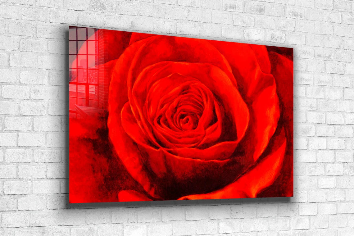 Red Rose Closeup View Print Tempered Glass Wall Art 100% Made in Australia Ready to Hang