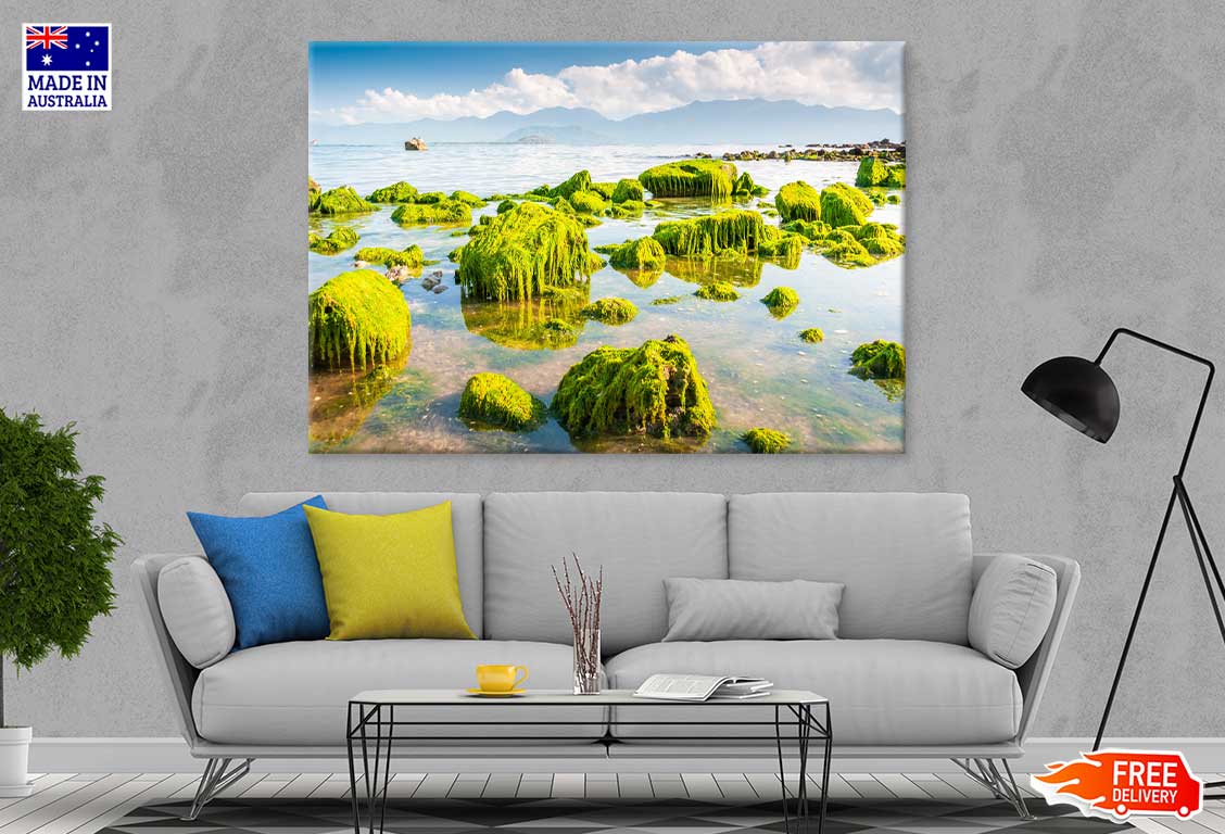 Green Beach Moss View Photograph Vietnam Print 100% Australian Made