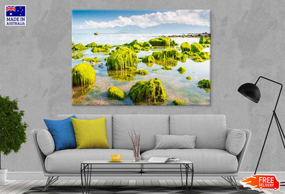 Green Beach Moss View Photograph Vietnam Print 100% Australian Made