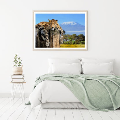 Leopard on a Rock Scenery Photograph Home Decor Premium Quality Poster Print Choose Your Sizes