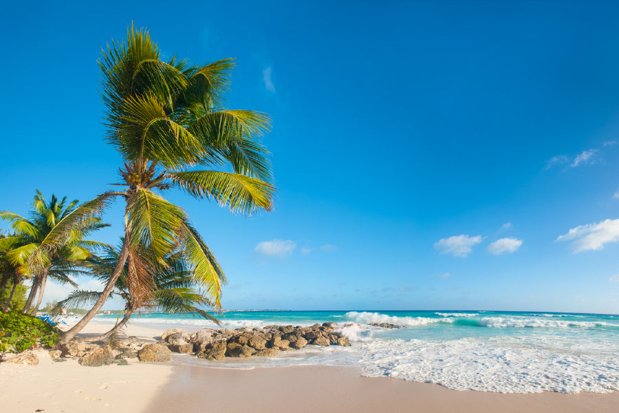 Bella Home Palms On The White Beach Barbados Print Canvas Ready to hang