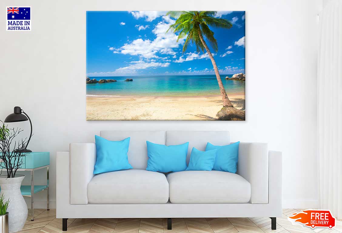 Coconut Palm on Sai Nuan Beach Photograph Print 100% Australian Made
