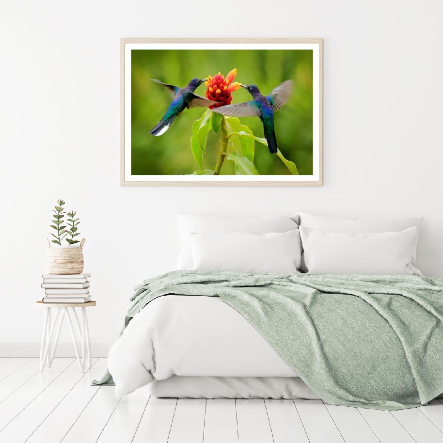 Humming Birds & Flower Photograph Home Decor Premium Quality Poster Print Choose Your Sizes