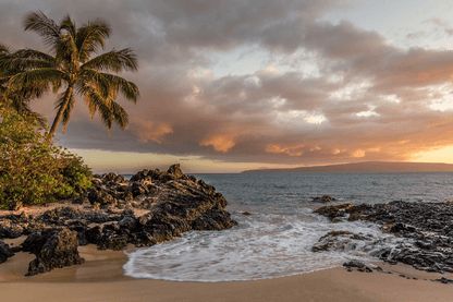 Palm Tree & Sea Sunset Scenery Photograph Print 100% Australian Made